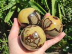 Polished Septerye Spheres x 4 From Mahajanga, Madagascar - Toprock Gemstones and Minerals 