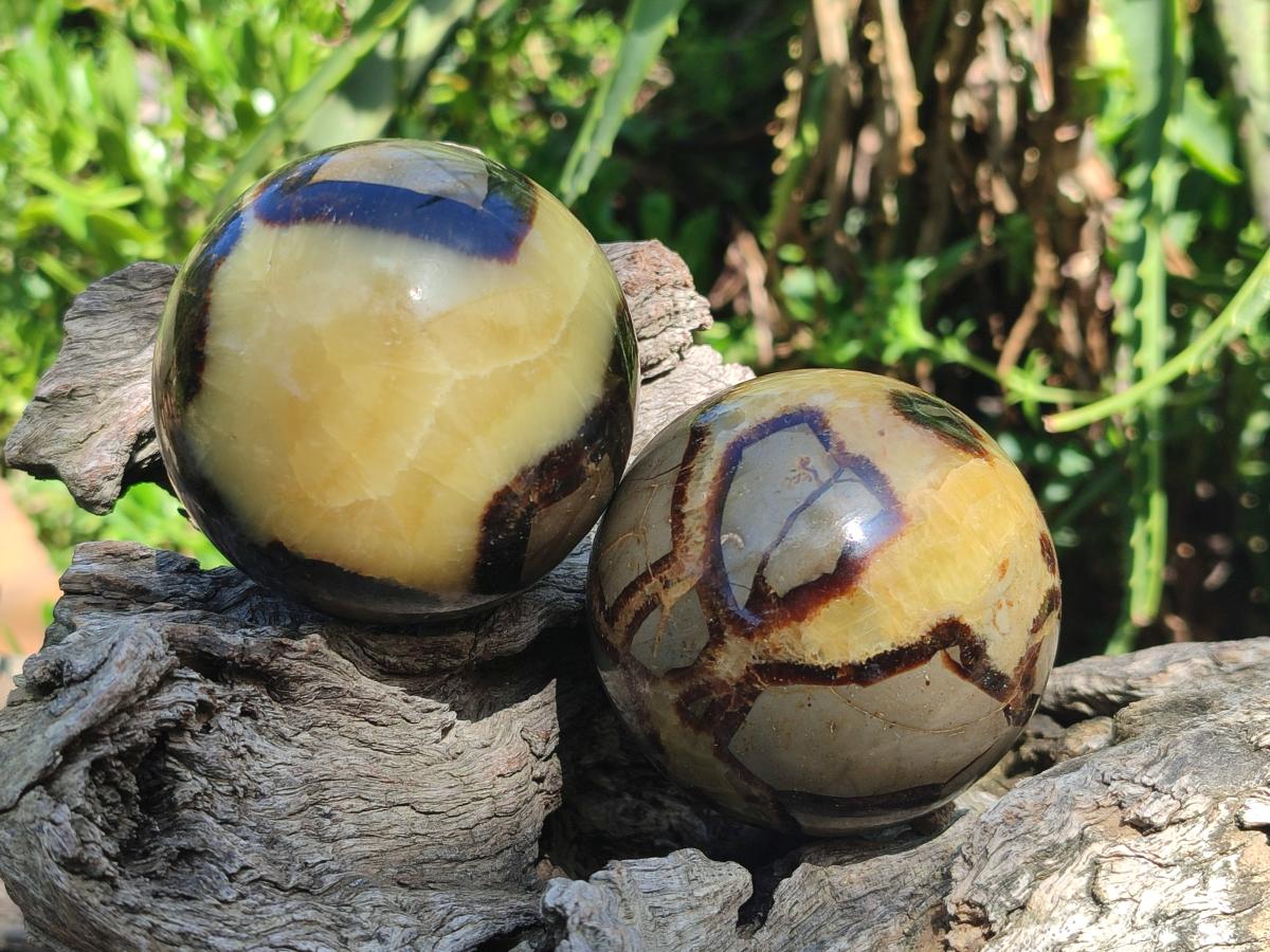 Polished Septerye Spheres x 4 From Mahajanga, Madagascar - Toprock Gemstones and Minerals 