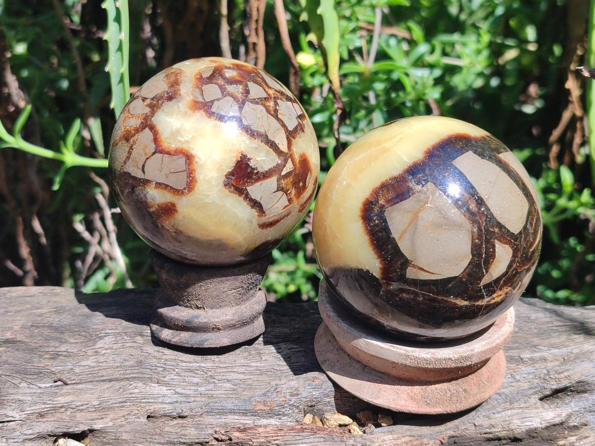 Polished Septerye Spheres x 4 From Mahajanga, Madagascar - Toprock Gemstones and Minerals 
