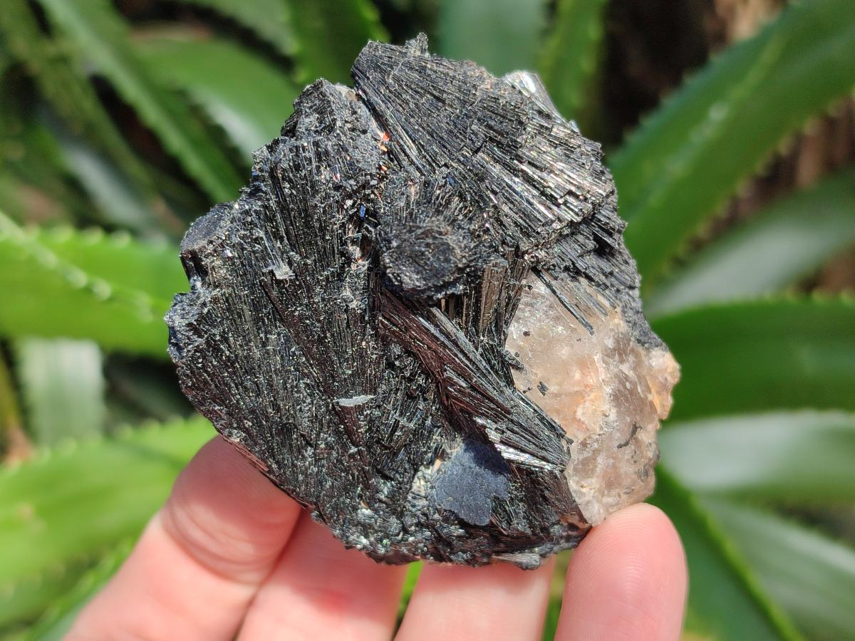 Natural Schorl Black Tourmaline Specimens x 6 From Erongo, Namibia - Toprock Gemstones and Minerals 
