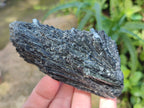 Natural Schorl Black Tourmaline Specimens x 6 From Erongo, Namibia - Toprock Gemstones and Minerals 