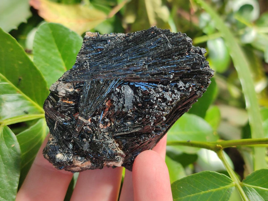 Natural Schorl Black Tourmaline Specimens x 6 From Erongo, Namibia - Toprock Gemstones and Minerals 