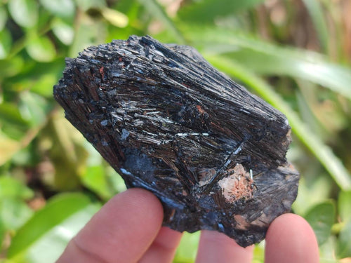 Natural Schorl Black Tourmaline Specimens x 6 From Erongo, Namibia - Toprock Gemstones and Minerals 