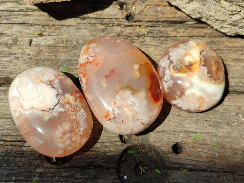 Polished Flower Agate Palm Stones x 12 From Antsahalova, Madagascar - Toprock Gemstones and Minerals 