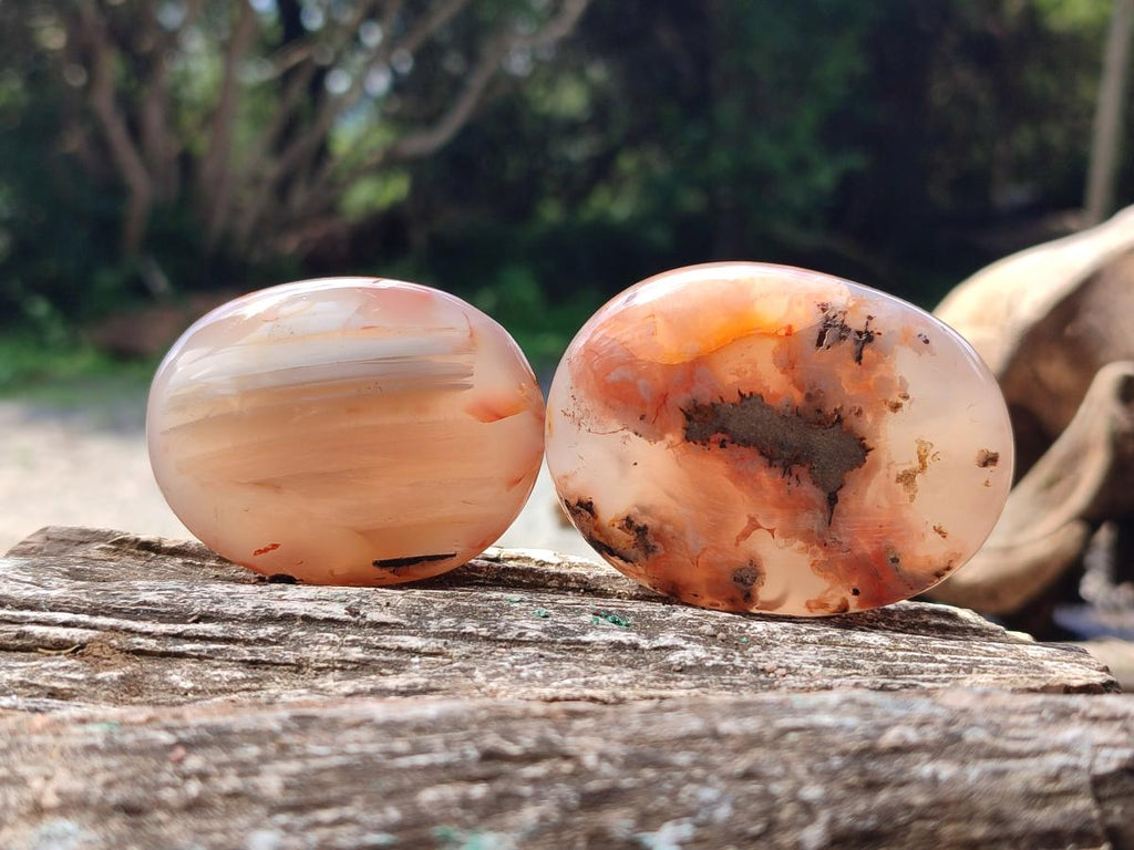 Polished Flower Agate Palm Stones x 12 From Antsahalova, Madagascar - Toprock Gemstones and Minerals 