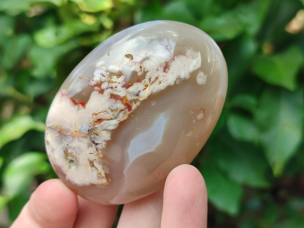 Polished Flower Agate Palm Stones x 12 From Antsahalova, Madagascar - Toprock Gemstones and Minerals 