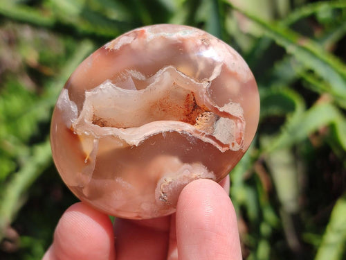 Polished Flower Agate Palm Stones x 12 From Antsahalova, Madagascar - Toprock Gemstones and Minerals 
