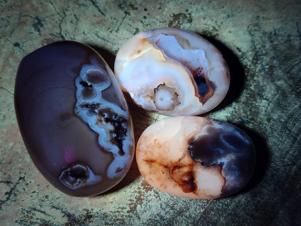 Polished Flower Agate Palm Stones x 12 From Antsahalova, Madagascar - Toprock Gemstones and Minerals 