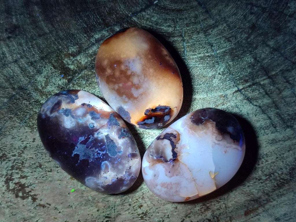 Polished Flower Agate Palm Stones x 12 From Antsahalova, Madagascar - Toprock Gemstones and Minerals 