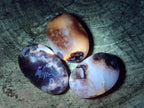 Polished Flower Agate Palm Stones x 12 From Antsahalova, Madagascar - Toprock Gemstones and Minerals 