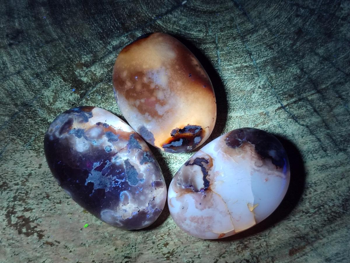 Polished Flower Agate Palm Stones x 12 From Antsahalova, Madagascar - Toprock Gemstones and Minerals 