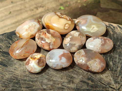 Polished Flower Agate Palm Stones x 12 From Antsahalova, Madagascar - Toprock Gemstones and Minerals 