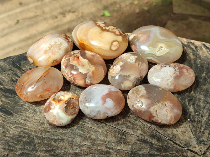 Polished Flower Agate Palm Stones x 12 From Antsahalova, Madagascar - Toprock Gemstones and Minerals 