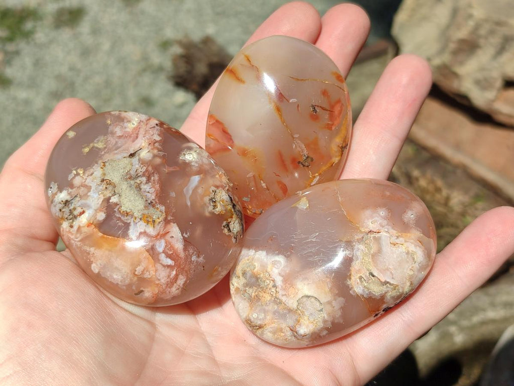 Polished Flower Agate Palm Stones x 12 From Antsahalova, Madagascar - Toprock Gemstones and Minerals 