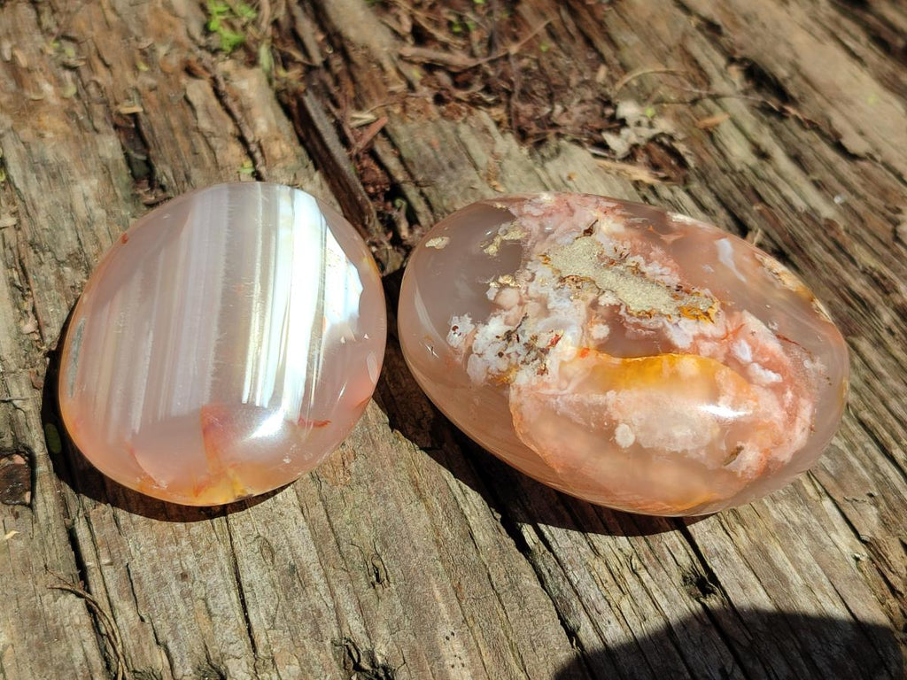 Polished Flower Agate Palm Stones x 12 From Antsahalova, Madagascar - Toprock Gemstones and Minerals 