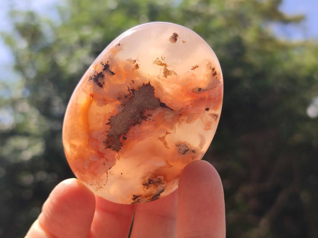 Polished Flower Agate Palm Stones x 12 From Antsahalova, Madagascar - Toprock Gemstones and Minerals 