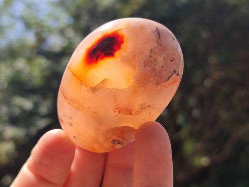 Polished Flower Agate Palm Stones x 12 From Antsahalova, Madagascar - Toprock Gemstones and Minerals 