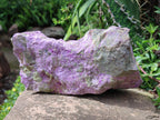 Natural XL Stichtite Cobbed Specimen x 1 From Barberton, South Africa - Toprock Gemstones and Minerals 