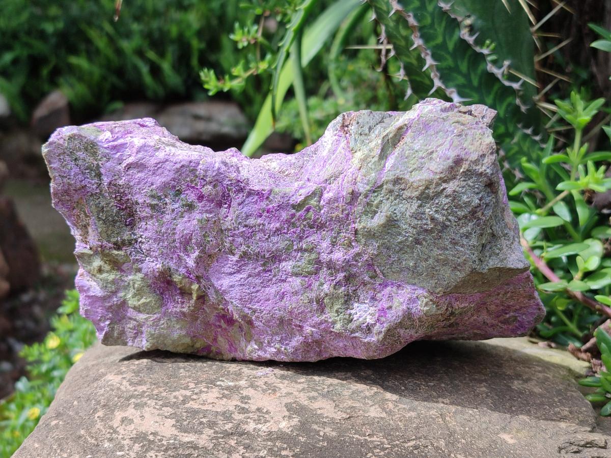 Natural XL Stichtite Cobbed Specimen x 1 From Barberton, South Africa - Toprock Gemstones and Minerals 