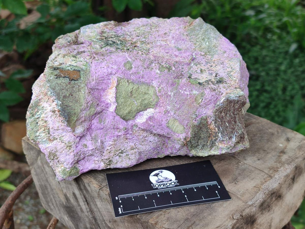 Natural XL Stichtite Cobbed Specimen x 1 From Barberton, South Africa - Toprock Gemstones and Minerals 