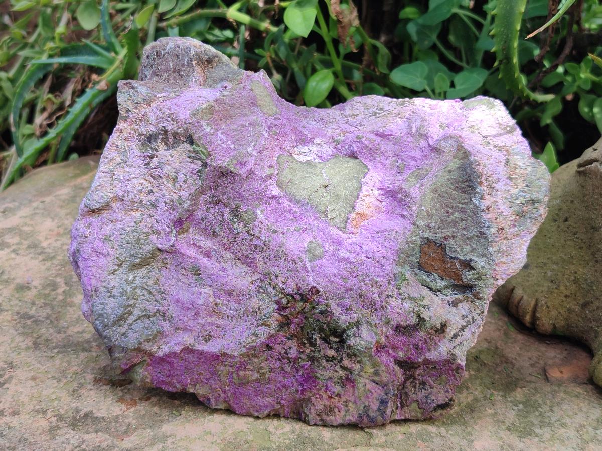 Natural XL Stichtite Cobbed Specimen x 1 From Barberton, South Africa - Toprock Gemstones and Minerals 