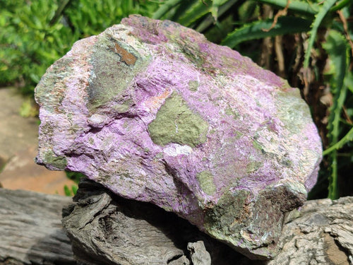 Natural XL Stichtite Cobbed Specimen x 1 From Barberton, South Africa - Toprock Gemstones and Minerals 