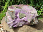 Natural XL Stichtite Cobbed Specimen x 1 From Barberton, South Africa - Toprock Gemstones and Minerals 