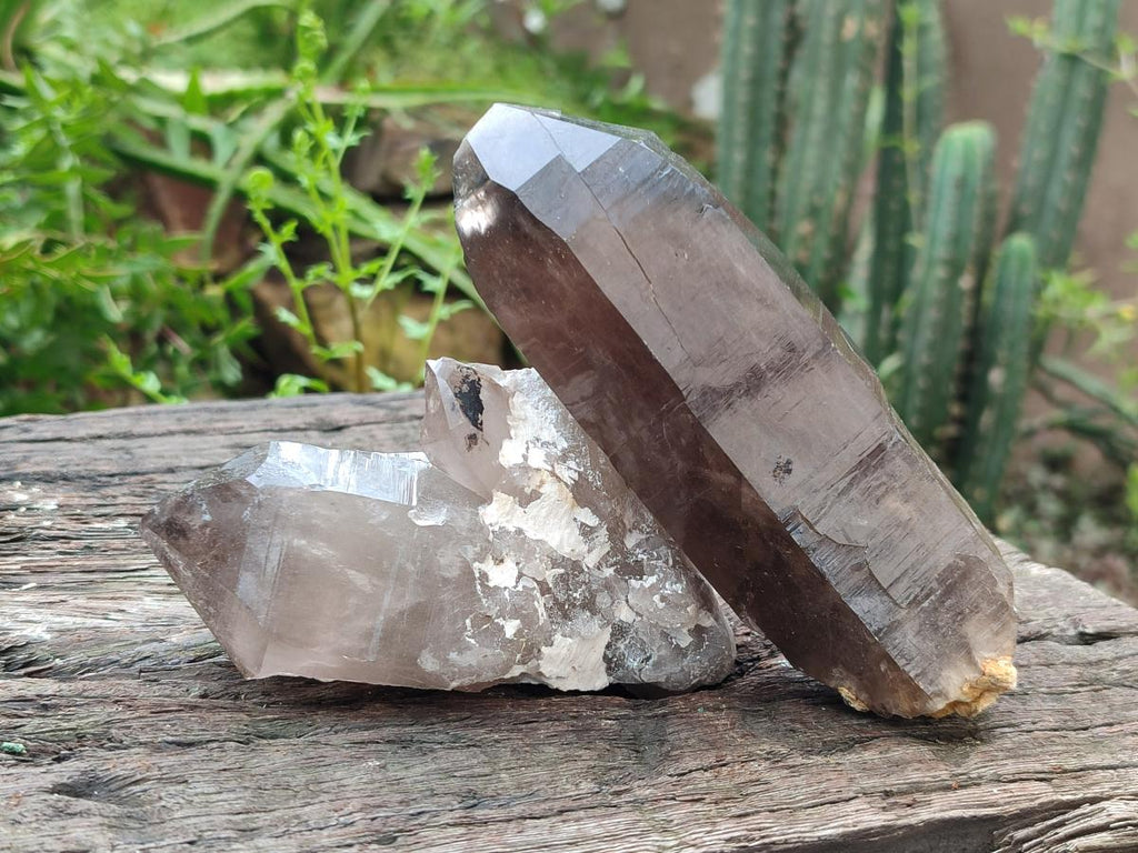 Natural Smokey Quartz Crystals x 6 From Zomba Plateau, Malawi - Toprock Gemstones and Minerals 