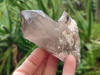 Natural Smokey Quartz Crystals x 6 From Zomba Plateau, Malawi - Toprock Gemstones and Minerals 