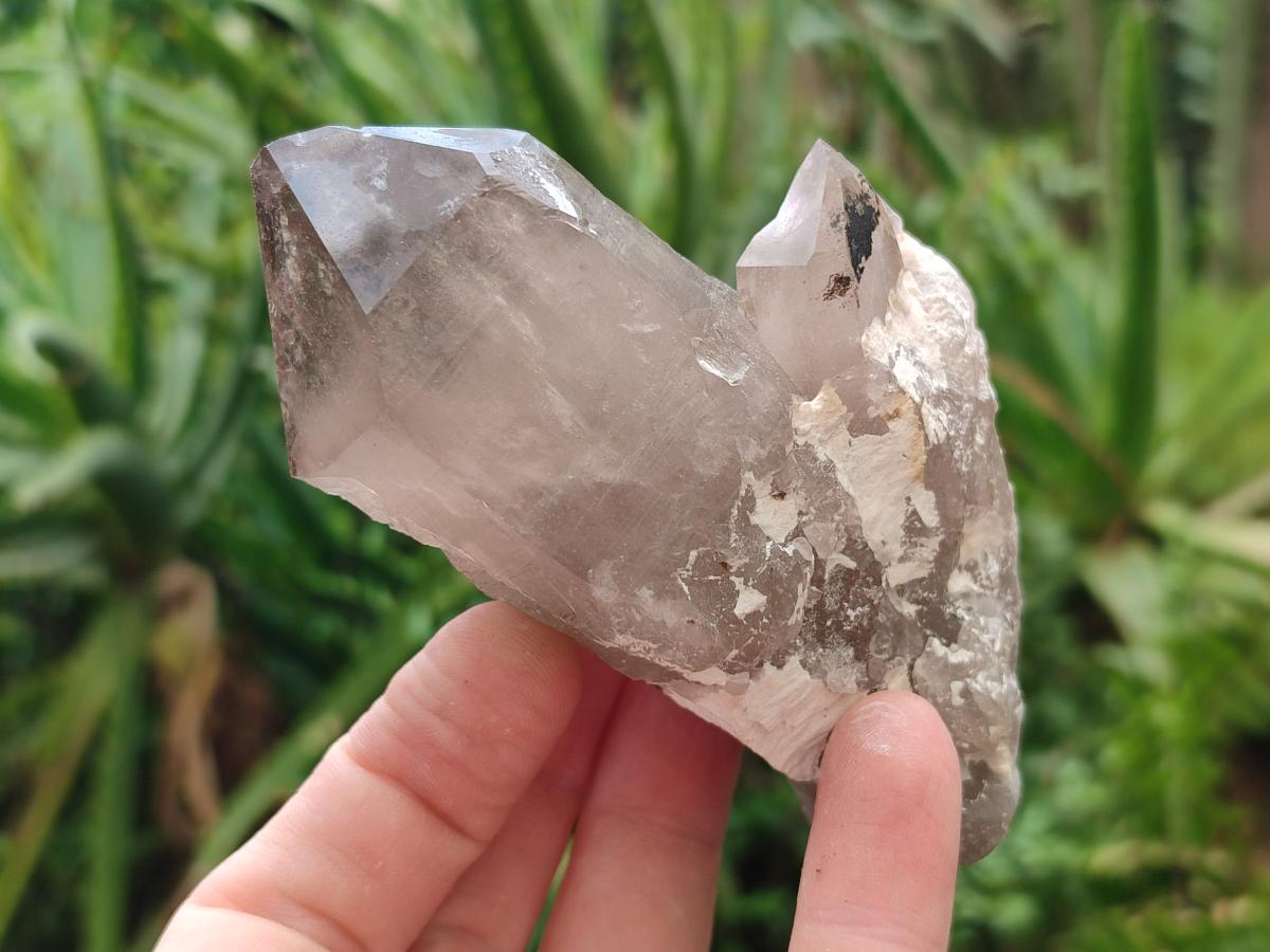 Natural Smokey Quartz Crystals x 6 From Zomba Plateau, Malawi - Toprock Gemstones and Minerals 