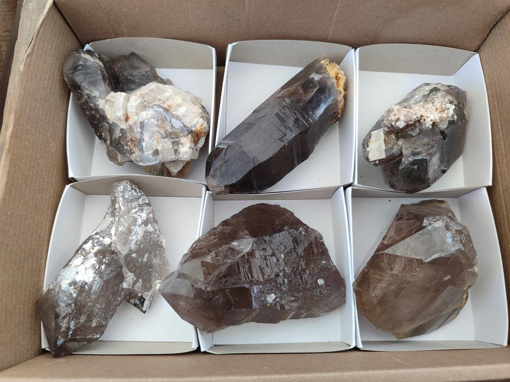 Natural Smokey Quartz Crystals x 6 From Zomba Plateau, Malawi - Toprock Gemstones and Minerals 