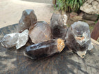 Natural Smokey Quartz Crystals x 6 From Zomba Plateau, Malawi - Toprock Gemstones and Minerals 