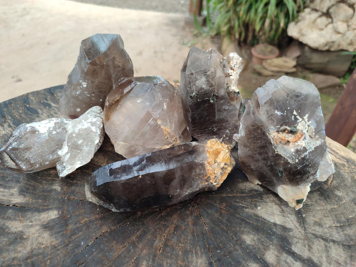 Natural Smokey Quartz Crystals x 6 From Zomba Plateau, Malawi - Toprock Gemstones and Minerals 