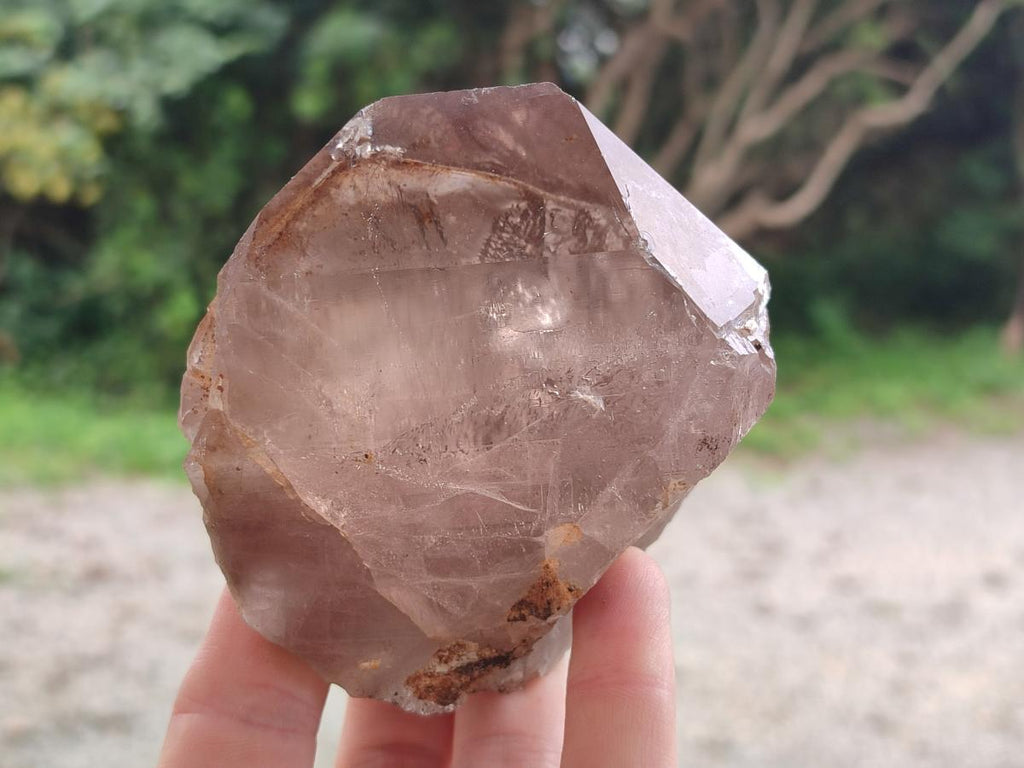 Natural Smokey Quartz Crystals x 6 From Zomba Plateau, Malawi - Toprock Gemstones and Minerals 