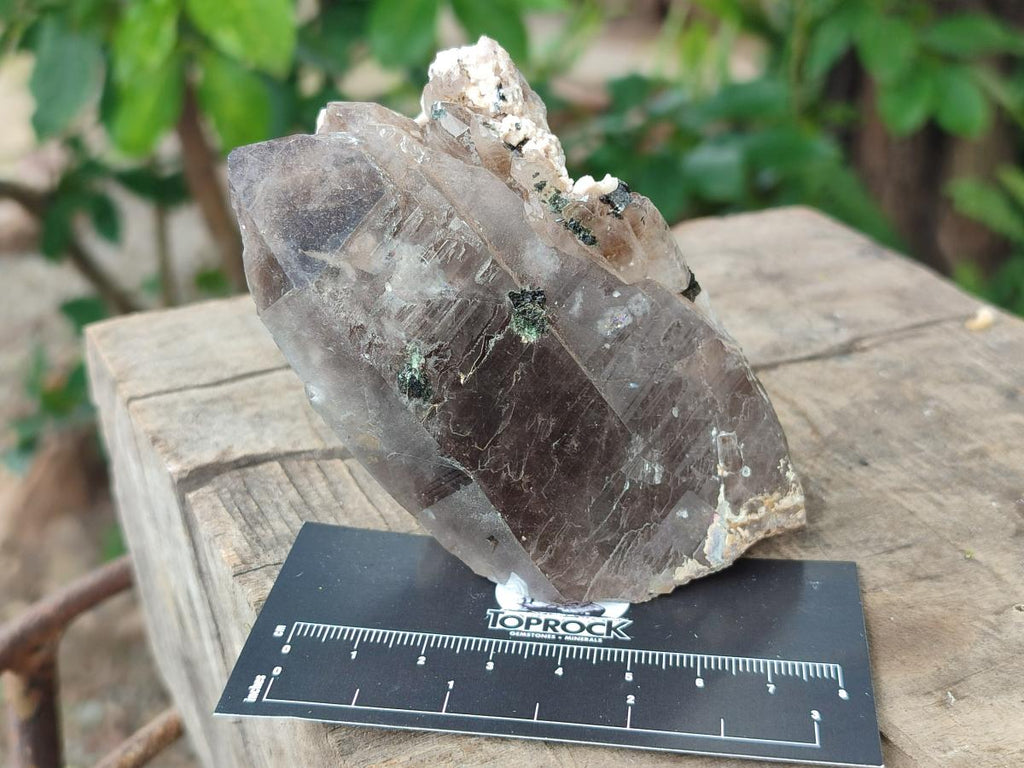 Natural Smokey Quartz Crystals x 6 From Zomba Plateau, Malawi - Toprock Gemstones and Minerals 
