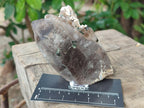 Natural Smokey Quartz Crystals x 6 From Zomba Plateau, Malawi - Toprock Gemstones and Minerals 