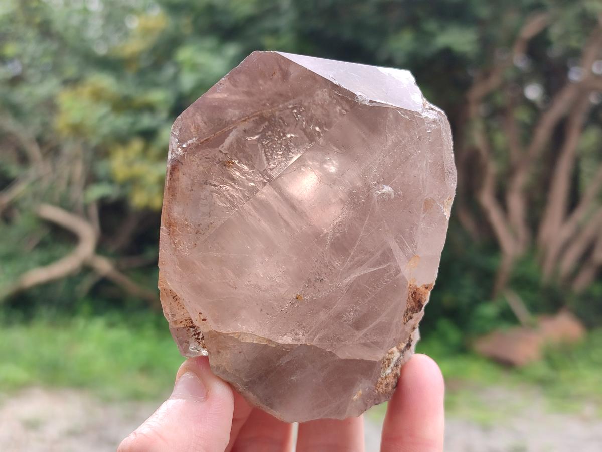 Natural Smokey Quartz Crystals x 6 From Zomba Plateau, Malawi - Toprock Gemstones and Minerals 