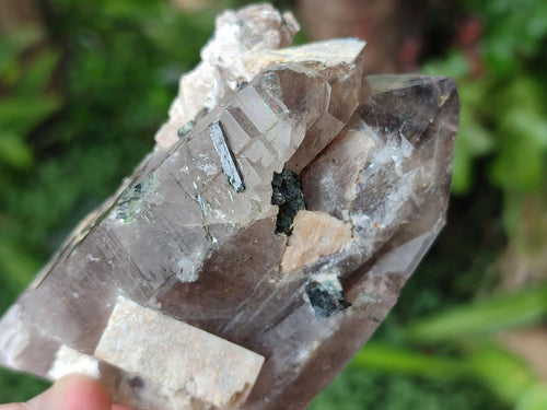 Natural Smokey Quartz Crystals x 6 From Zomba Plateau, Malawi - Toprock Gemstones and Minerals 