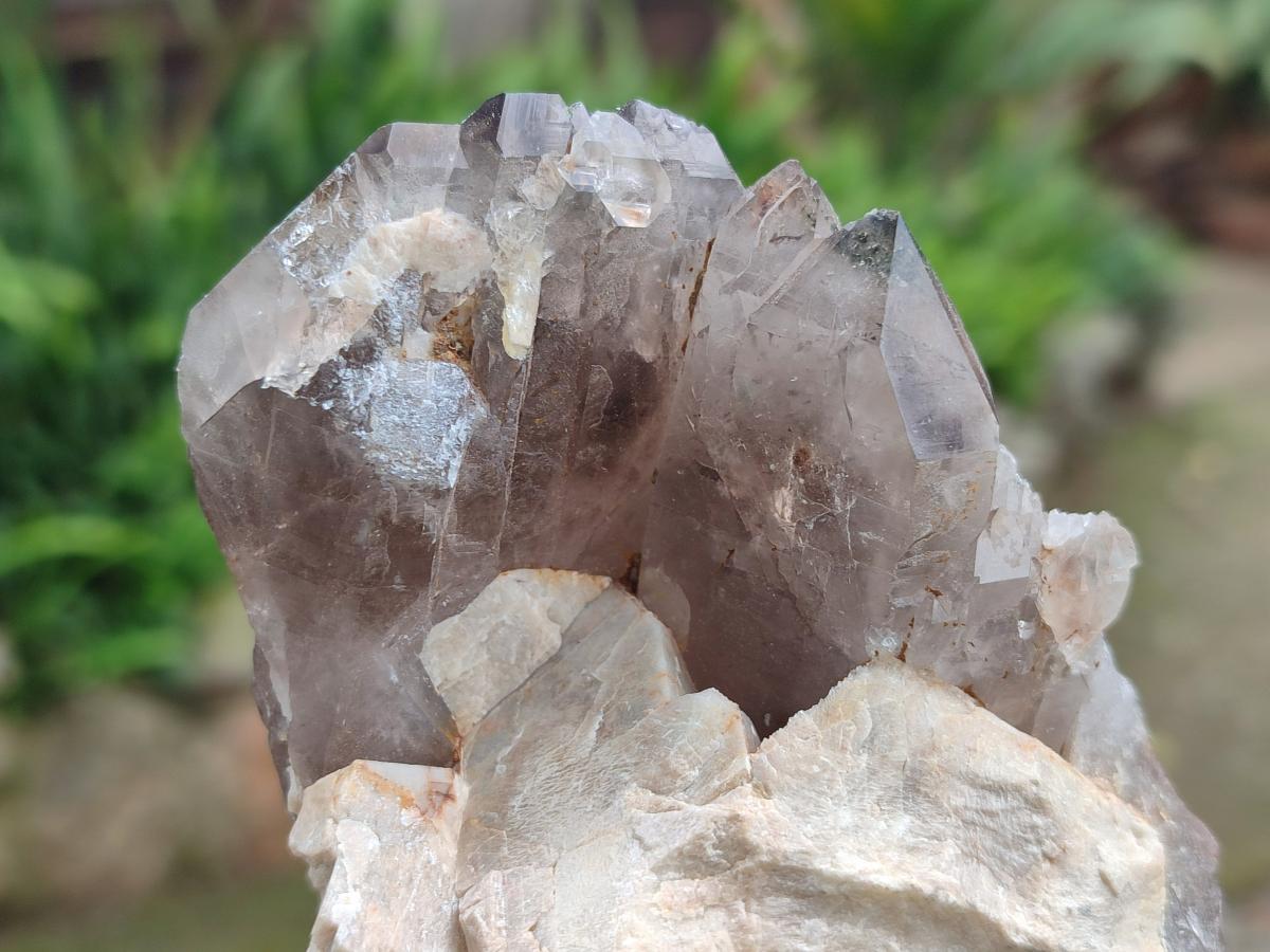 Natural Smokey Quartz Crystals x 6 From Zomba Plateau, Malawi - Toprock Gemstones and Minerals 