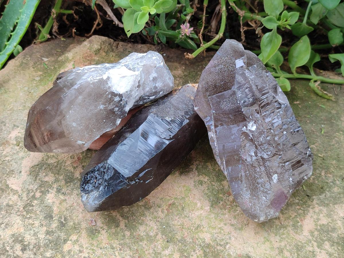 Natural Smokey Quartz Crystals x 6 From Zomba Plateau, Malawi - Toprock Gemstones and Minerals 