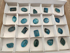 Polished Blue Apatite Pendants Free Forms x 20 From Betroka, Madagascar - Toprock Gemstones and Minerals 