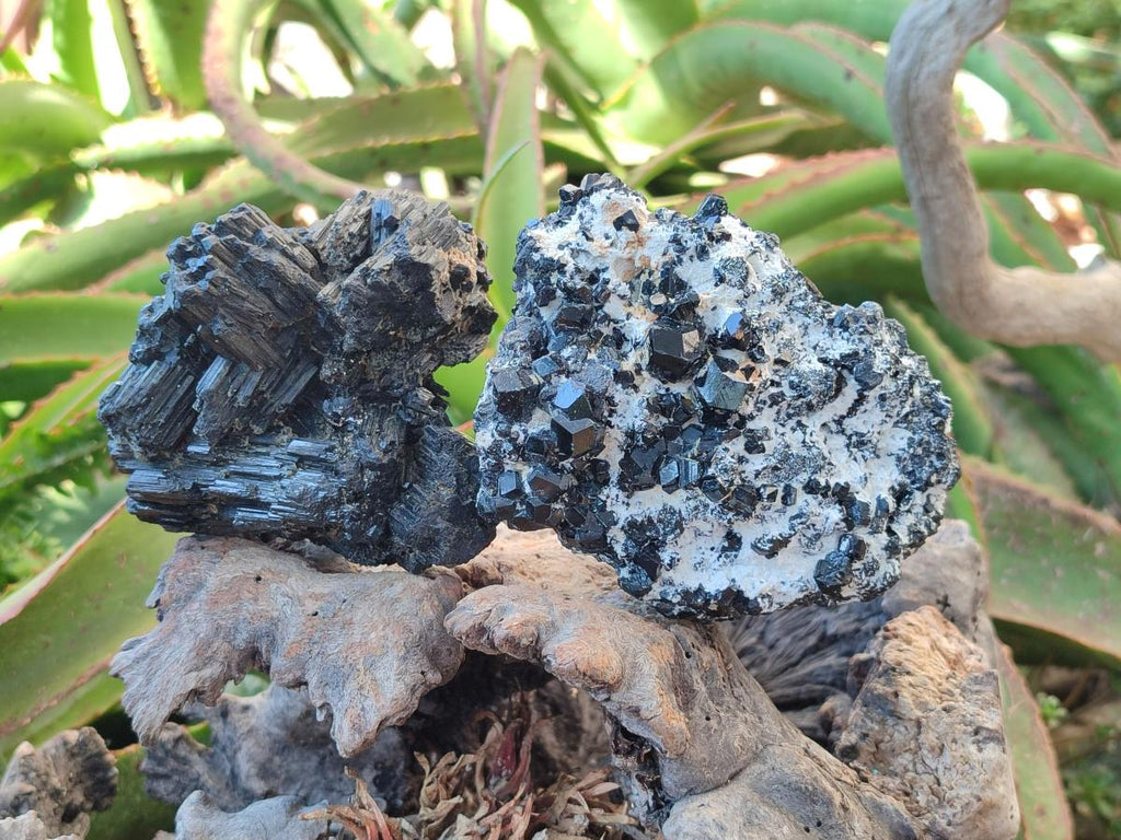 Natural Schorl Black Tourmaline Specimens x 2 From Erongo, Namibia - Toprock Gemstones and Minerals 