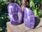 Polished Lepidolite Standing Free Forms x 4 From Zimbabwe - Toprock Gemstones and Minerals 
