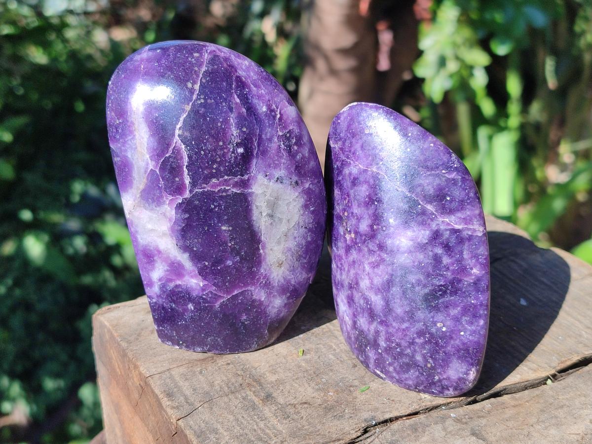 Polished Lepidolite Standing Free Forms x 4 From Zimbabwe - Toprock Gemstones and Minerals 