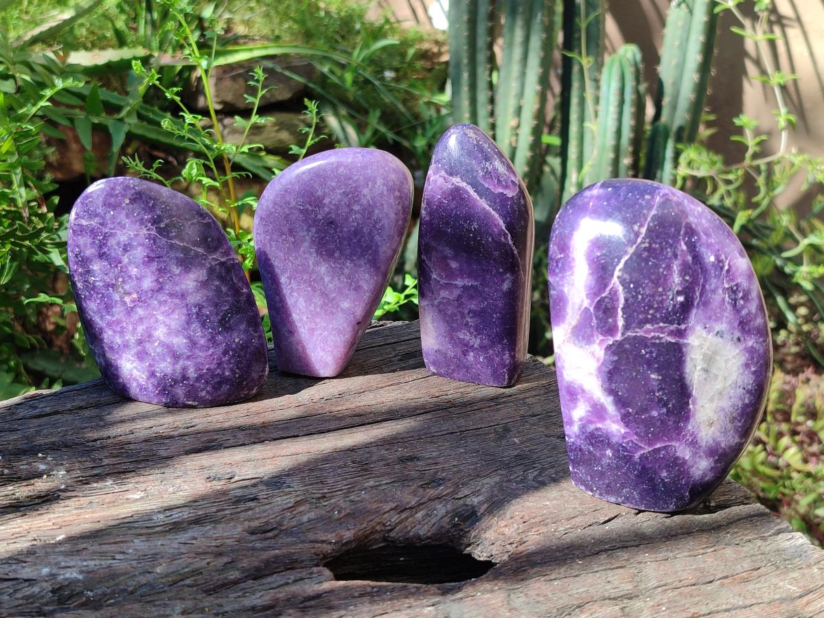 Polished Lepidolite Standing Free Forms x 4 From Zimbabwe - Toprock Gemstones and Minerals 