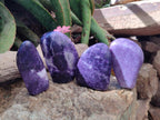 Polished Lepidolite Standing Free Forms x 4 From Zimbabwe - Toprock Gemstones and Minerals 