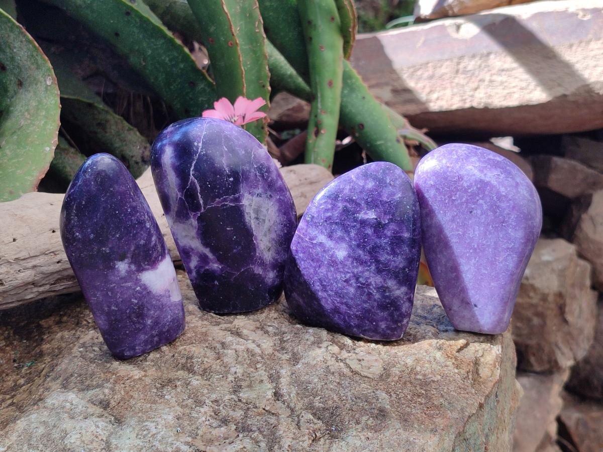 Polished Lepidolite Standing Free Forms x 4 From Zimbabwe - Toprock Gemstones and Minerals 
