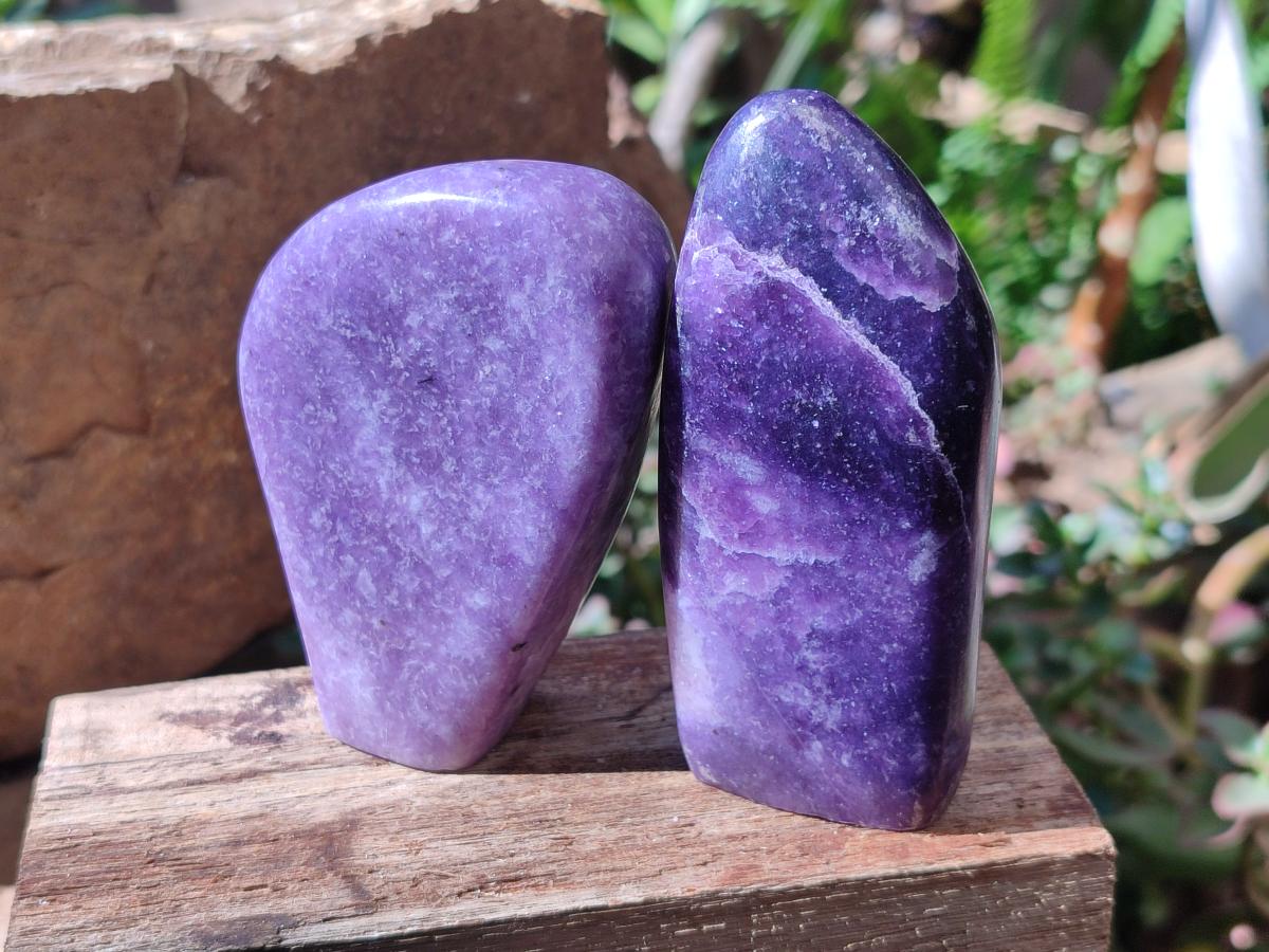 Polished Lepidolite Standing Free Forms x 4 From Zimbabwe - Toprock Gemstones and Minerals 