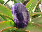 Polished Lepidolite Standing Free Forms x 4 From Zimbabwe - Toprock Gemstones and Minerals 