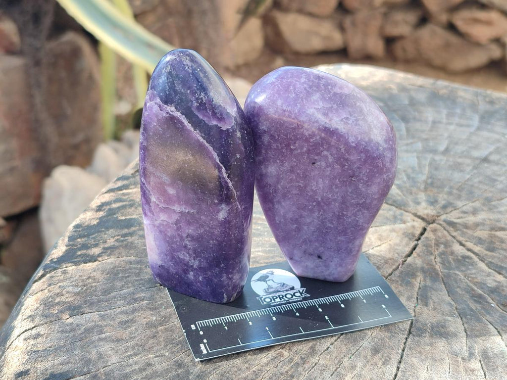 Polished Lepidolite Standing Free Forms x 4 From Zimbabwe - Toprock Gemstones and Minerals 